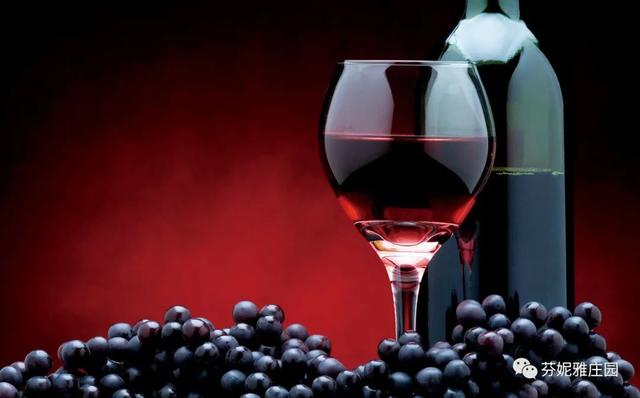 世界上葡萄酒分为哪些类？教你成为葡萄酒品酒大师