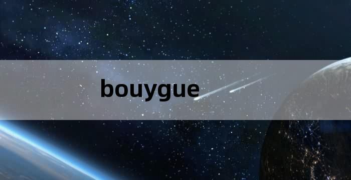 bouygue,Bouygue手机